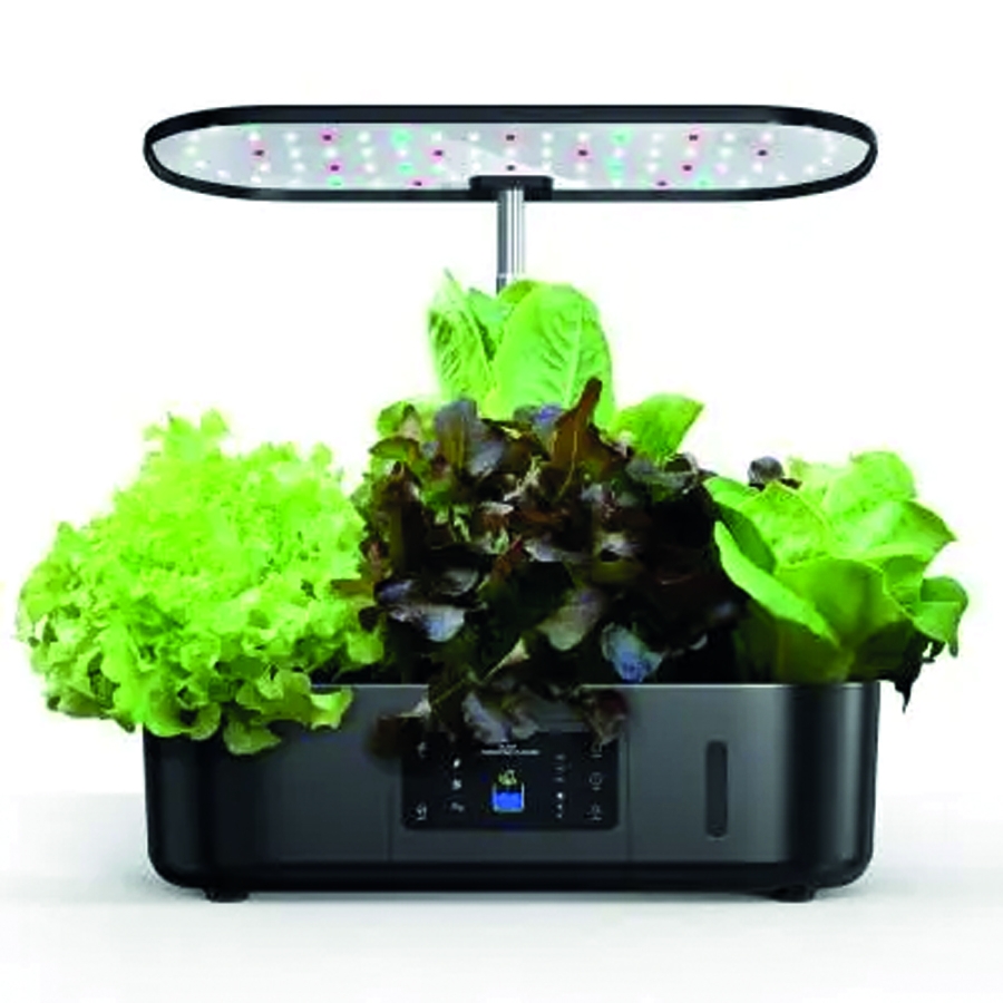 Hidroponik Hobi Seti-Siyah