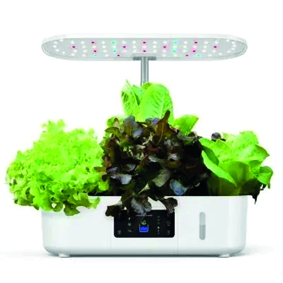 Hidroponik Hobi Seti-Beyaz